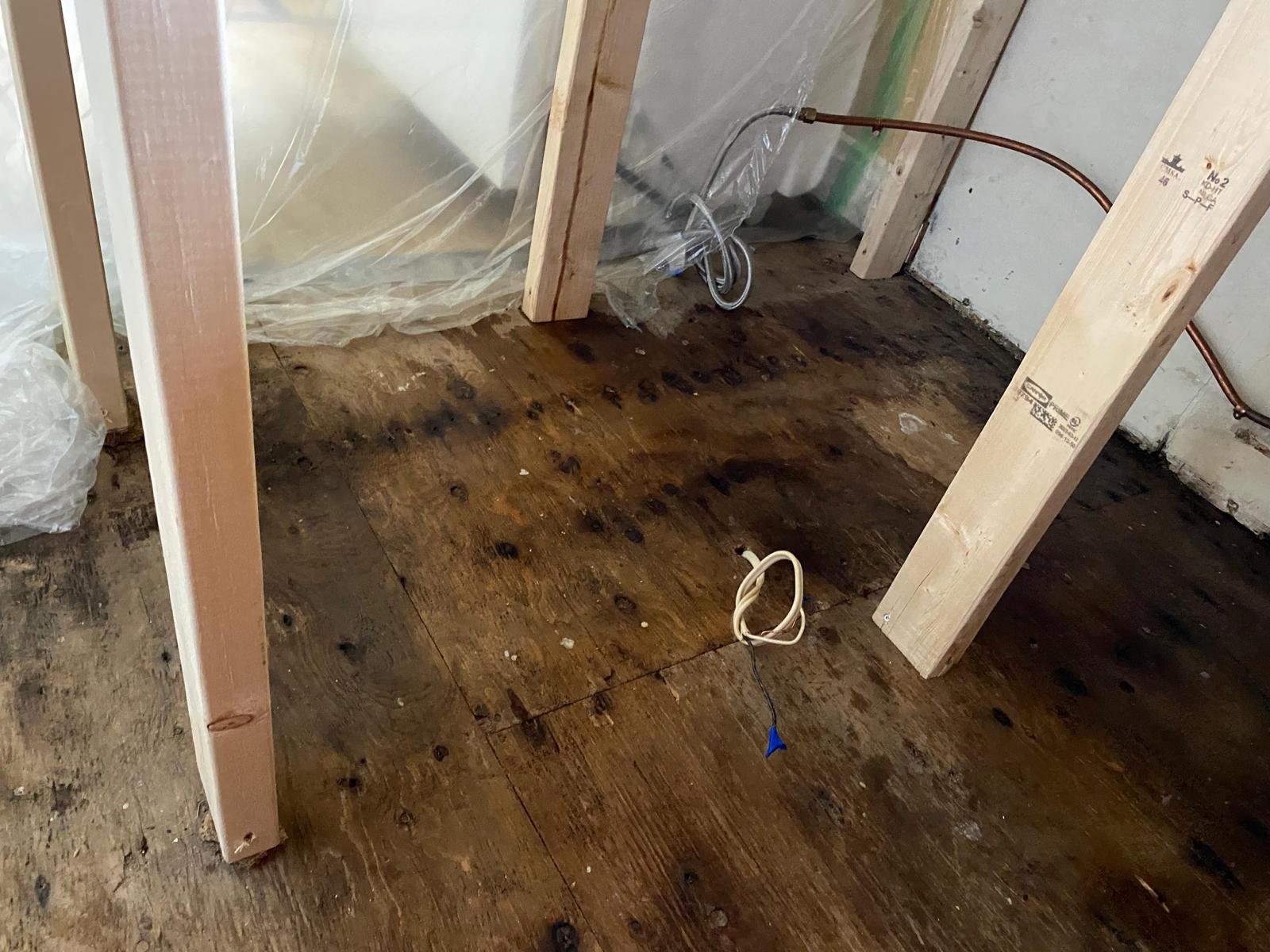 Mold Remediation